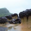 野柳地質公園の観光と見どころ